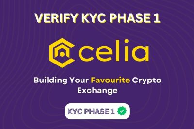 celia kyc phase 1