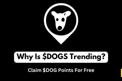 DOGS Airdrop: Why is $DOGS Trending?